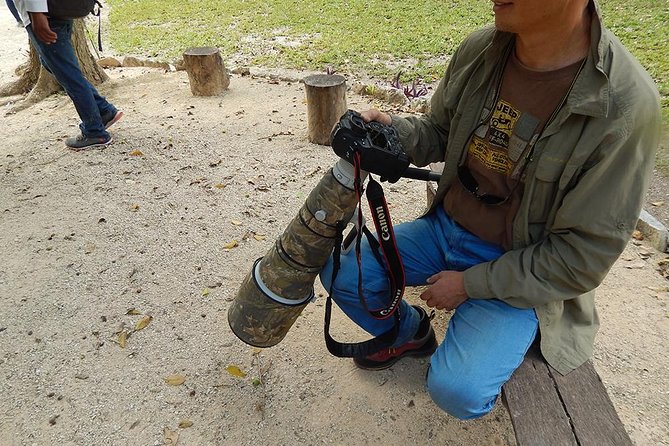 Private Tour: Birdwatching from Cancun - Hotel Pickup, Meeting Point, and How Private Means Personal