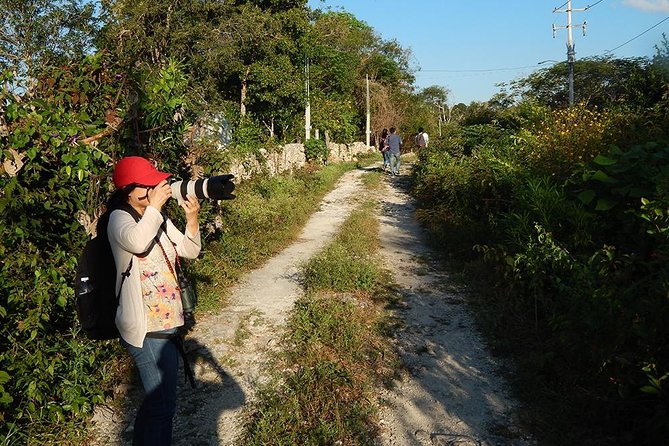 Private Tour: Birdwatching from Cancun - What Birds You Can Aim For, Plus Realistic Expectations