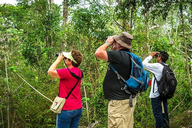 Private Tour: Birdwatching from Cancun - The First Stop Near Puerto Morelos, Where You Wait and Listen