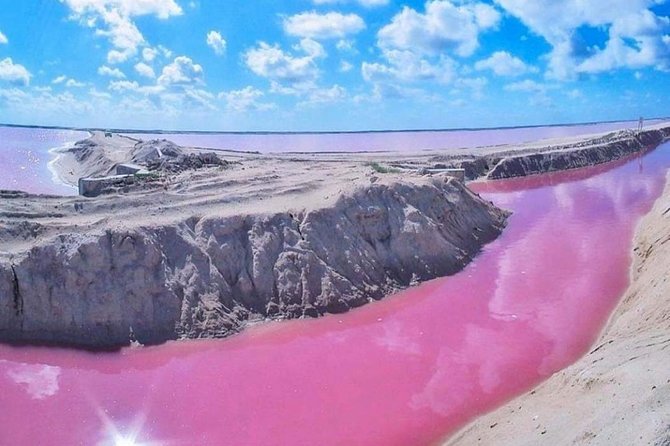 Private Tour: Ek Balam, Pink Flamingos Sanctuary and Tequila Tasting Factory - From Valladolid to the coast, you switch ecosystems fast