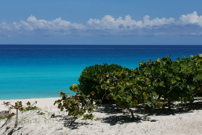 Private Transfer-Cancun Airport-Playa del Carmen One Way - The Ride Comfort: AC Van, Cold Drinks, and Calm Timing