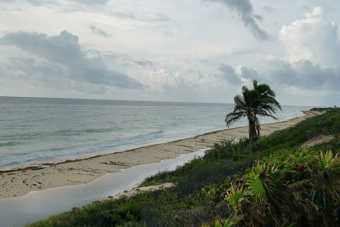 Private Transfer-Cancun Airport-Playa del Carmen One Way - Price and Value: Why This $79.99 Group Transfer Can Make Sense