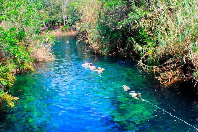 Private Transfer-Cancun Airport to Tulum Downtown - One Way - Price and Value: When $129.99 Makes Sense