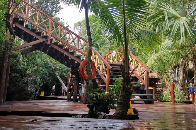 Private Transfer-Cancun Airport to Tulum Downtown - One Way - Comfort Details That Are Worth Your Attention