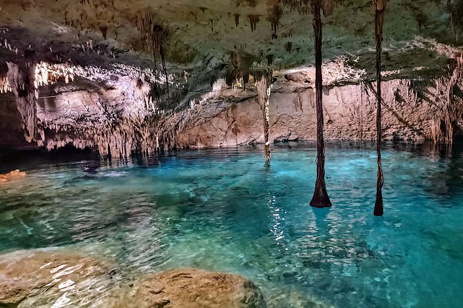 Private Tulum Experience & Cenote - Key highlights worth knowing before you go