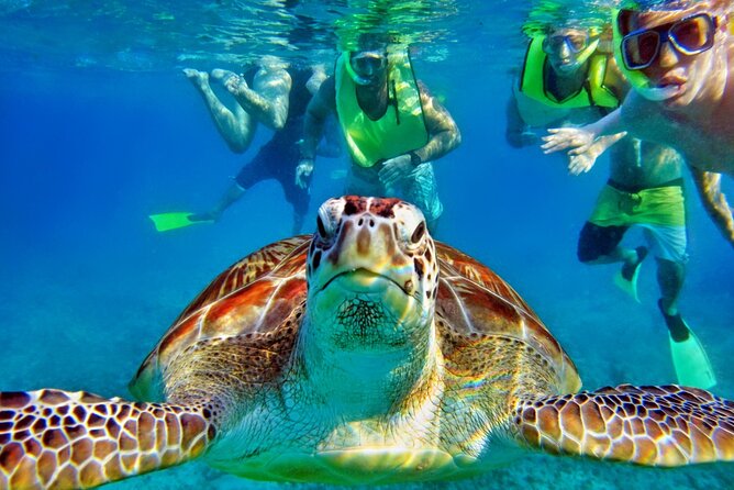 Private Tulum Mayan Ruins & Swimming with Turtles Experience - Price and Mandatory Cash Fees: What to Budget in Real Life