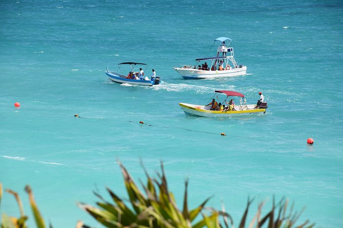 Private Tulum Ruins, Reef Snorkel & Cenote Adventure - Snorkeling at the Mayan Coral Reef, with real sea life chances