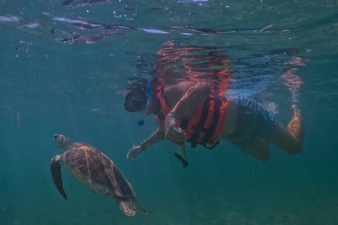 Private VW Beetle Tour Swim with Turtles, Visit Tulum Ruins&Town - Key things that make this day feel special