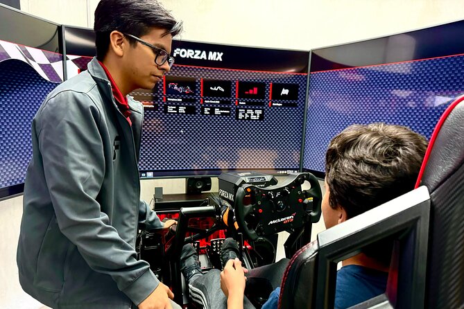Professional racing simulator - Pro-level coaching without the pressure