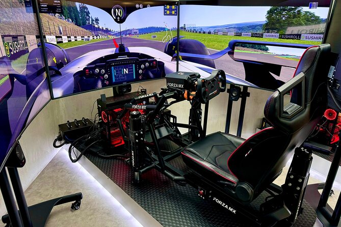 Professional racing simulator - Why the equipment and motion matter for real performance