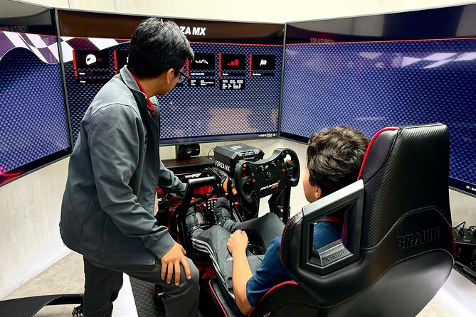 Professional racing simulator - Mobile ticket, small group, and an English-friendly setup