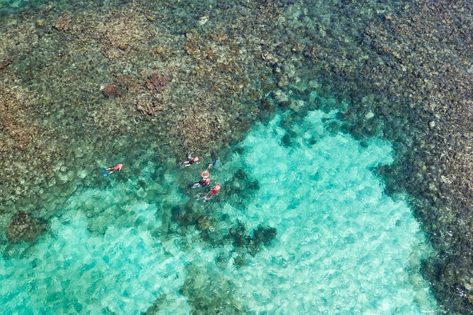 Puerto Morelos Catamaran Reef Sail and Snorkel - Marina La Bonita start: what the 8:30am morning is really like