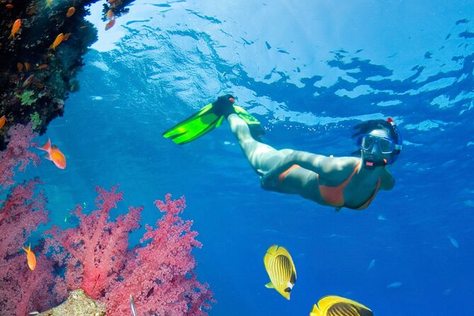 Puerto Morelos Catamaran Reef Sail and Snorkel - The Puerto Morelos National Reef Park stop: sail, anchor, snorkel rhythm