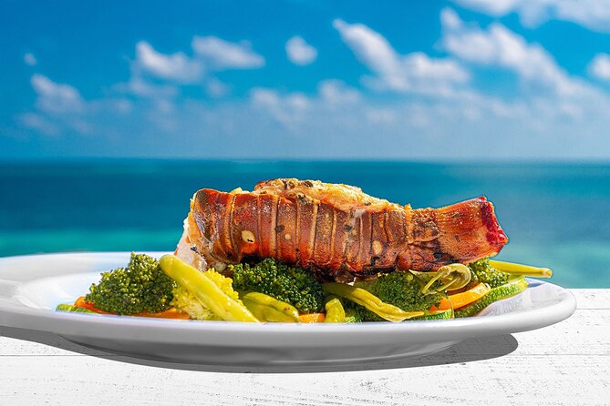 Puerto Morelos Reef Snorkeling Tour with Lunch & Hotel Pickup - Why Puerto Morelos Reef Beats a Straight Cancun Day