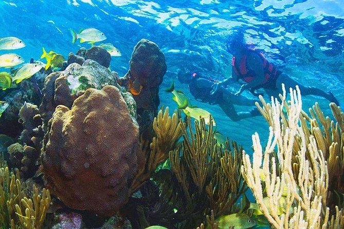 Puerto Morelos Reef Snorkeling Tour with Lunch & Hotel Pickup - Two Snorkel Stops: How the Water Time Actually Feels
