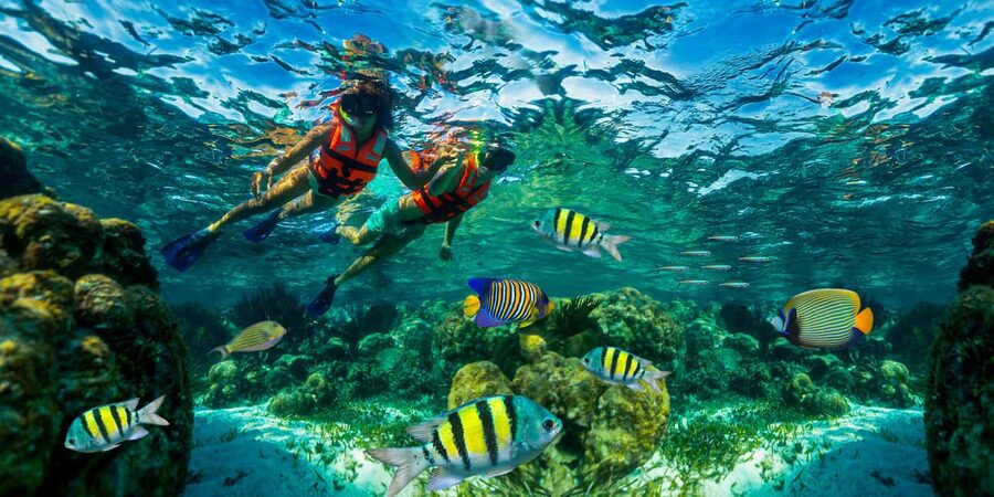 Puerto Morelos: Snorkel, Town Walk, Tequila & Beach Lunch - Key points before you go