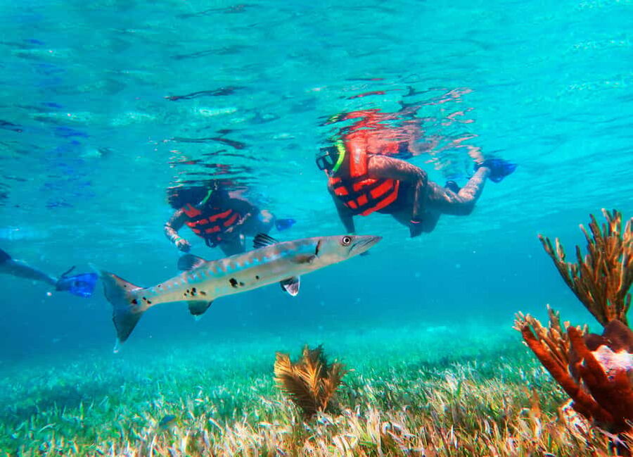 Puerto Morelos: Snorkel, Town Walk, Tequila & Beach Lunch - Safety briefing first, then gear and reef rules