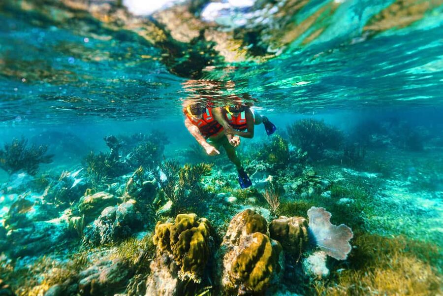 Puerto Morelos: Snorkel, Town Walk, Tequila & Beach Lunch - 80 minutes on the Great Mayan Reef, what you might see