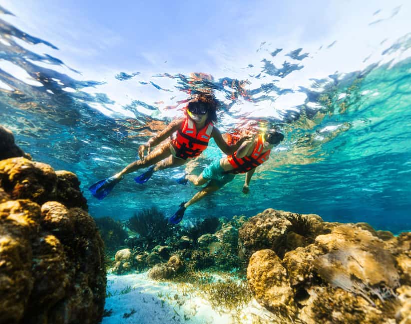 Puerto Morelos: Snorkel, Town Walk, Tequila & Beach Lunch - Tequila tasting and the reset after the water