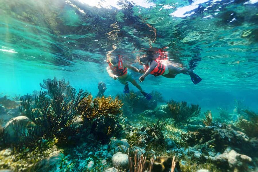 Puerto Morelos: Snorkel, Town Walk, Tequila & Beach Lunch - Who this tour fits best, and who should skip it