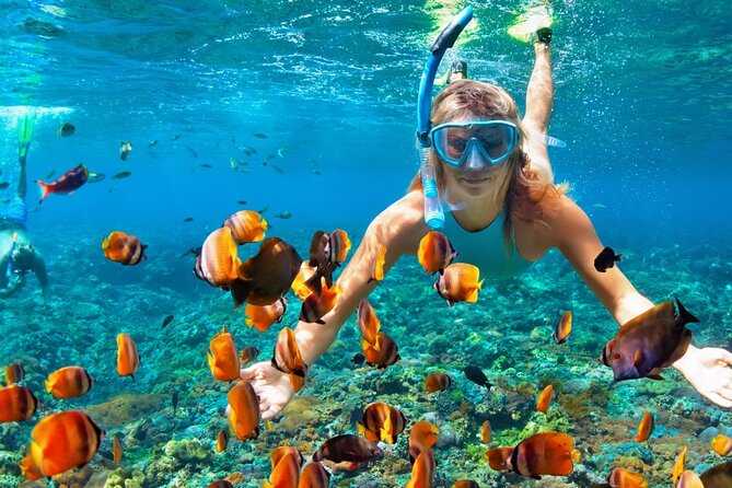 Puerto Morelos Snorkel, Town Walk, Tequila Tasting & Beach Lunch - Great Maya Reef Snorkeling Near Puerto Morelos
