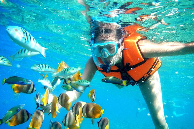 Puerto Morelos Snorkel, Town Walk, Tequila Tasting & Beach Lunch - Puerto Morelos Free Time: How to Use It Well