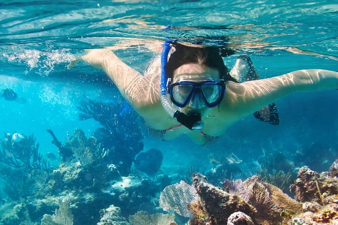 Puerto Morelos Snorkel, Town Walk, Tequila Tasting & Beach Lunch - Price and Value Check: Is It Worth $40.84?