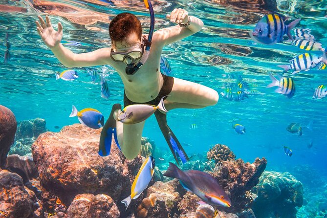 Puerto Morelos Snorkel, Town Walk, Tequila Tasting & Beach Lunch - Logistics That Matter: Payments, Waves, and Rules