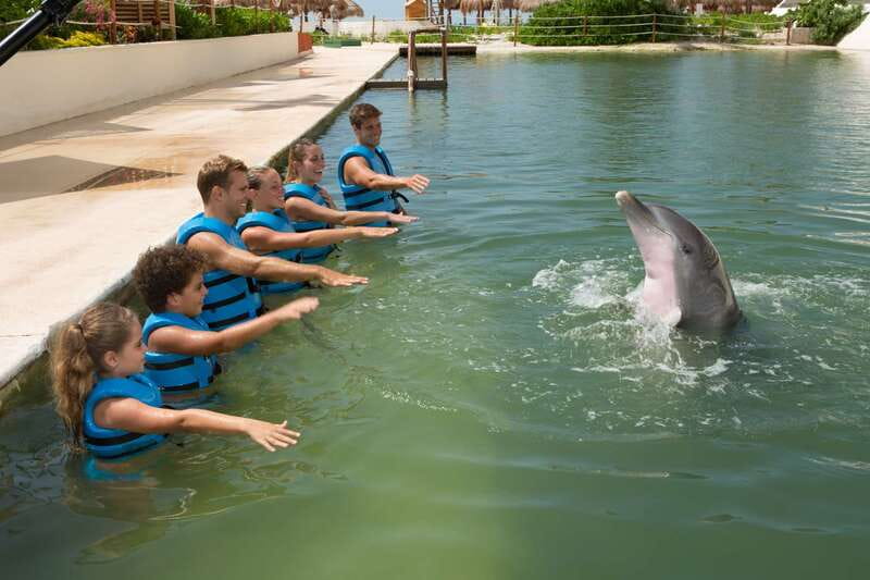 Punta Cancun: Swim with dolphins Interax - Punta Cancun, Interax, and what you are really booking