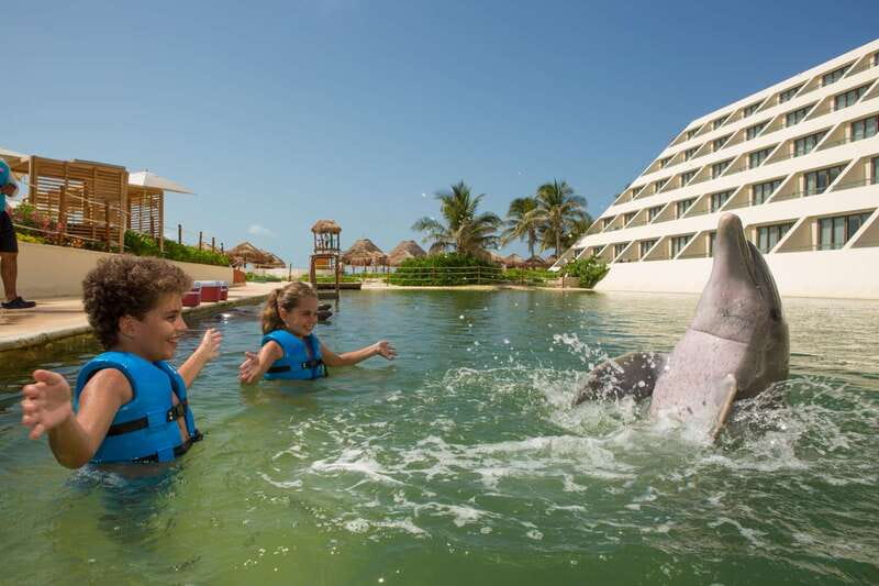 Punta Cancun: Swim with dolphins Interax - Price and value: what $138 buys, plus the $50 MXN tax