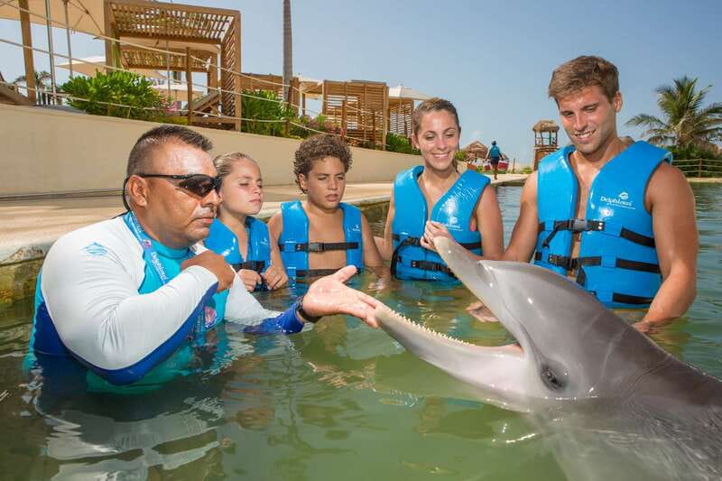 Punta Cancun: Swim with dolphins Interax - Who should book this and who should think twice