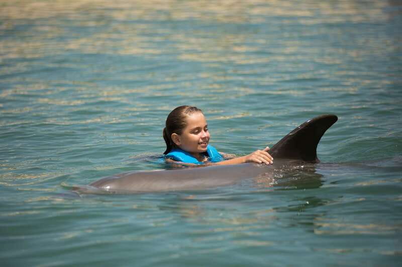 Punta Cancun: Swim with dolphins Interax - Timing: 45 minutes total, with 30 minutes in the water