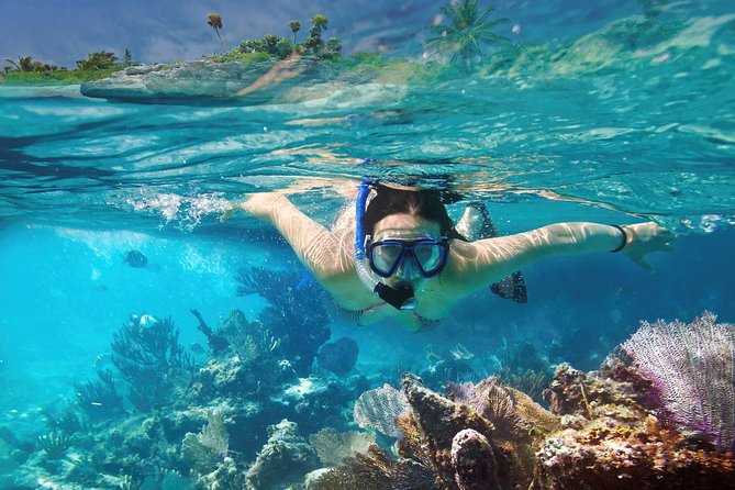 Reef Snorkel In National Park In Puerto Morelos With Lunch And Transportation - Mercado de Artesanías and Puerto Morelos Walking Time