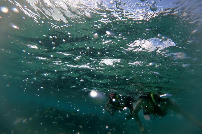 Reef Snorkel In National Park In Puerto Morelos With Lunch And Transportation - Price and Value: What You Really Pay for the $44.25
