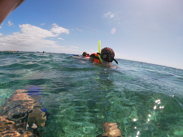 Reef Snorkel In National Park In Puerto Morelos With Lunch And Transportation - Hotel Pickup, Timing, and the Reality of a 5-Hour Plan