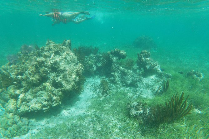 Reef Snorkel, underwater adventure in Puerto Morelos With Transportation & Lunch - Getting from Cancun to Puerto Morelos without turning your day into a project