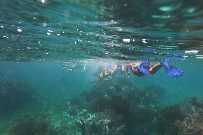 Reef Snorkel, underwater adventure in Puerto Morelos With Transportation & Lunch - Snorkeling gear, pacing, and how the guide helps