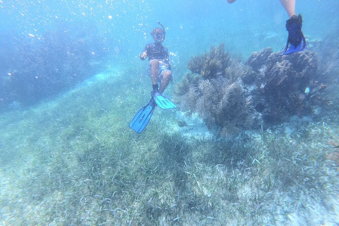 Reef Snorkel, underwater adventure in Puerto Morelos With Transportation & Lunch - Photo and video rules, and the cost of official images