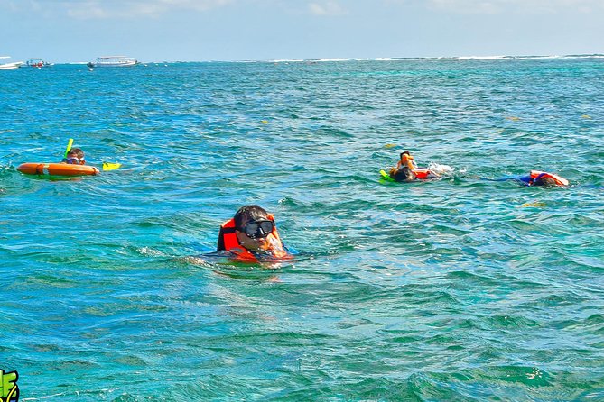 Reef Snorkeling in National Park from Cancun with Beachside Lunch - Lunch at Boquinete beach club: fish tacos, timing, and vegetarian options