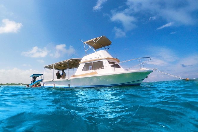 Reef Snorkeling in National Park from Cancun with Beachside Lunch - Price and value: what $44 covers and what to budget for