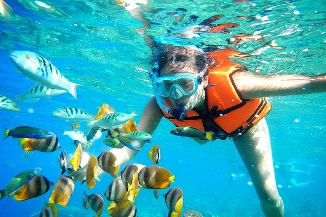 Reef Snorkeling in National Park from Cancun with Beachside Lunch - Reef rules and snorkel training: gear, safety, and the “follow the guide” mindset