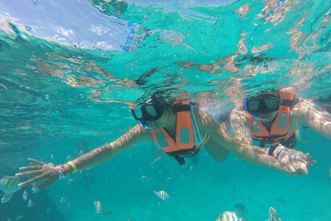 Reef Snorkeling & Jungle Speedboat Adventure with Mayan Ceremony - Price and value: what $59 really turns into