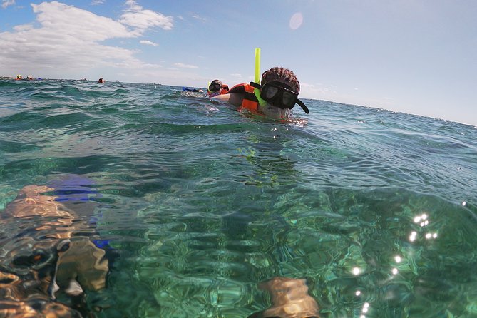 Reef Snorkeling with ATV, Zipline, Cenote that includes lunch and transportation - The Big Idea: One Ticket, Three Different Kinds of Fun