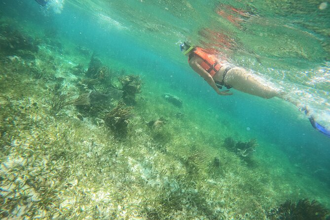 Reef Snorkeling with ATV, Zipline, Cenote that includes lunch and transportation - Lunch After the Reef, Then a Quick Puerto Morelos Reset