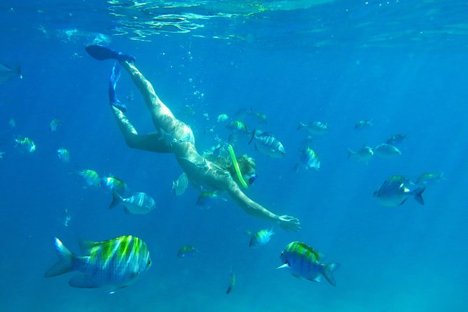 Riviera Maya Luxury Snorkeling Cruise with Lunch and Drinks - Beyond snorkeling: paddleboarding, water mats, and how active the day feels