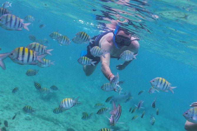 Riviera Maya Luxury Snorkeling Cruise with Lunch and Drinks - Timing, pickup, and the one logistics detail people trip over