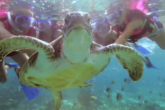 Riviera Maya Snorkeling - Puerto Morelos reef snorkeling, what to expect in the water
