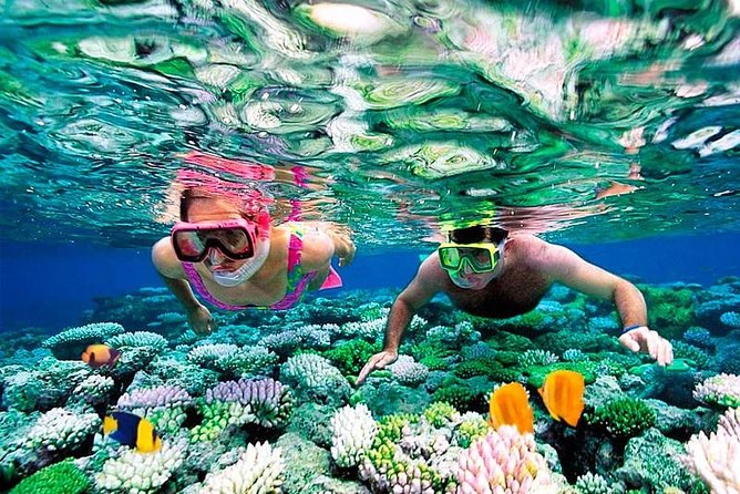 Riviera Maya Snorkeling - The 3-hour snorkeling rhythm, and why the boat ride is part of it