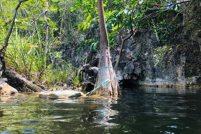 Sacred Adventure at Xenotes! 4 Different Cenotes + Round Transportation - Zip Lining and Rappelling: Fun, But Know the Limits Before You Book