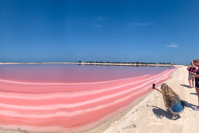 Safari in Rio Lagartos, Coloradas and Mayan Bath - Key highlights worth waking up for